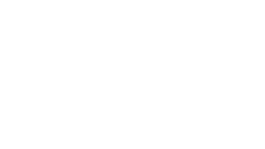 blue stripe logo